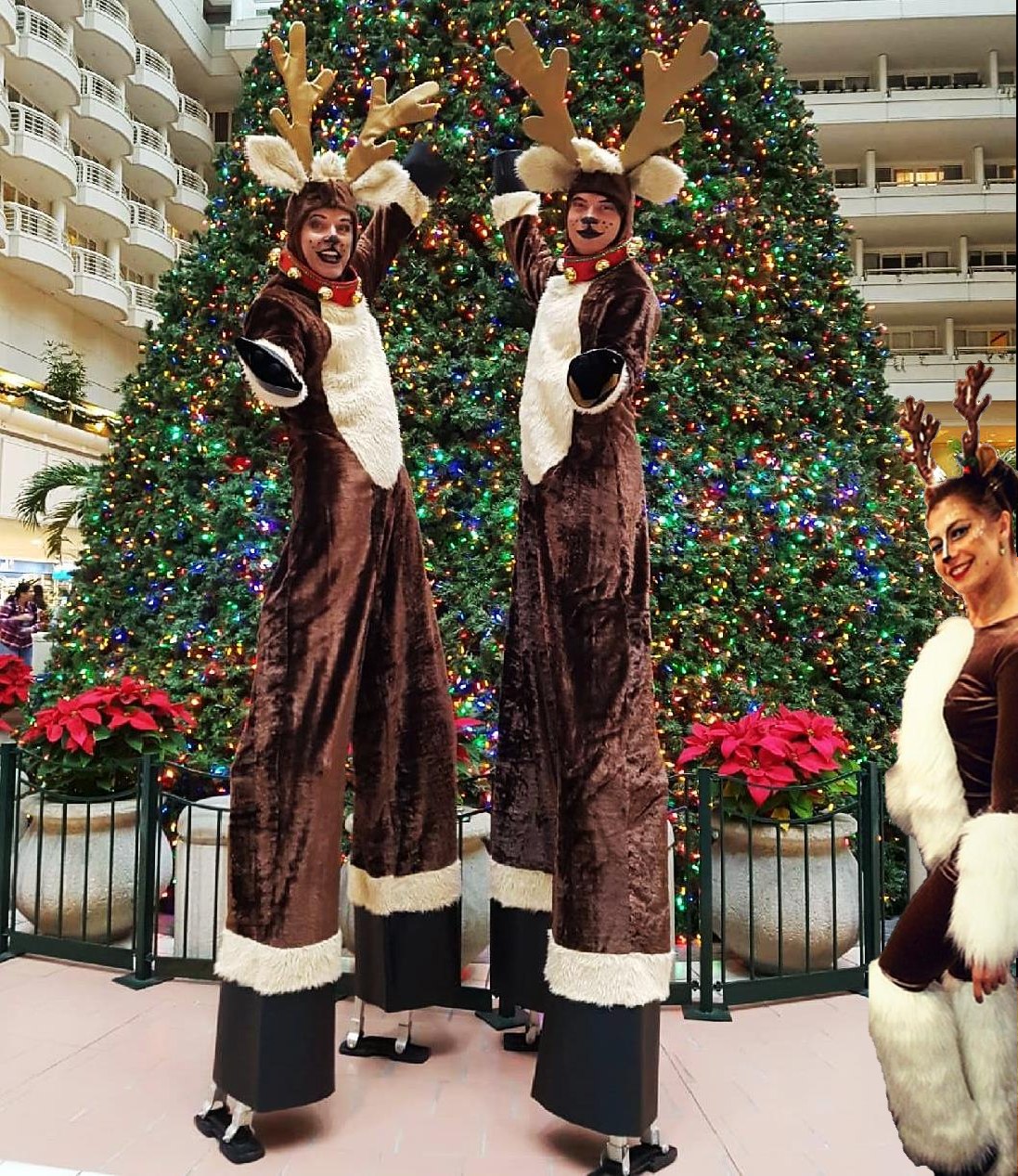 Reindeer Parade festive entertainment Dubai
